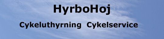 HyrboHoj hyr ut och säljer cyklar och elcyklar centralt i Västervik. HyrboHoj hyr ut tandemcyklar, cyklar och elcyklar i Västervik.