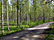 Cykelvägar för cykelturer i Västervikstrakten- Cykla på fina vägar i Västerviks närhet.